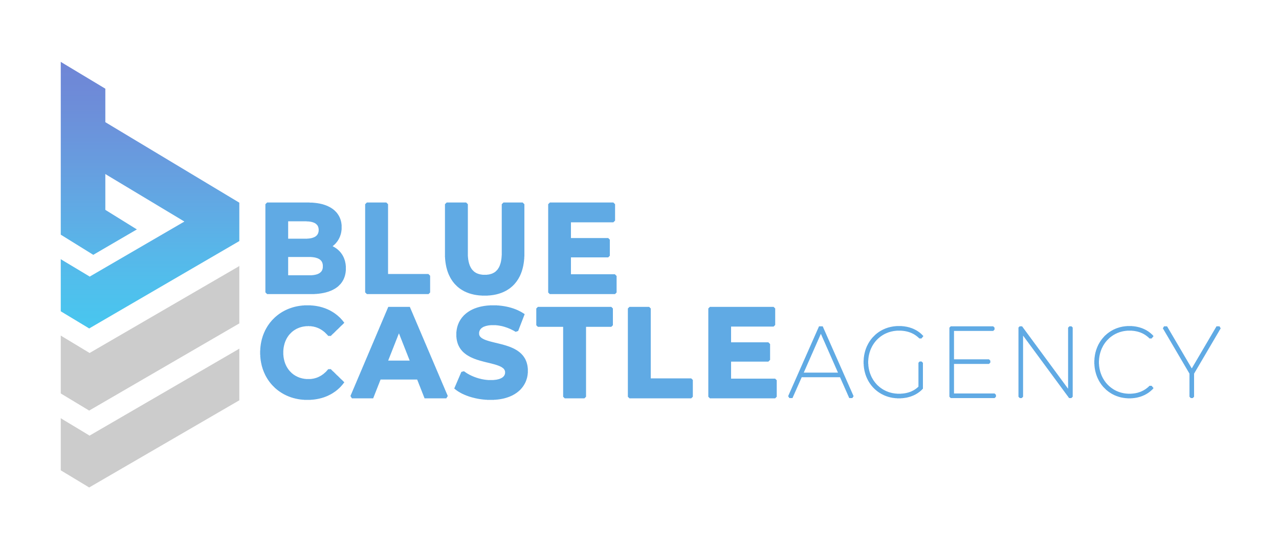 Blue Castle Agency